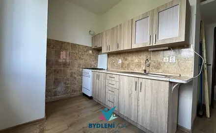 Prodej bytu 2+1 54 m², Svojsíkova, Teplice