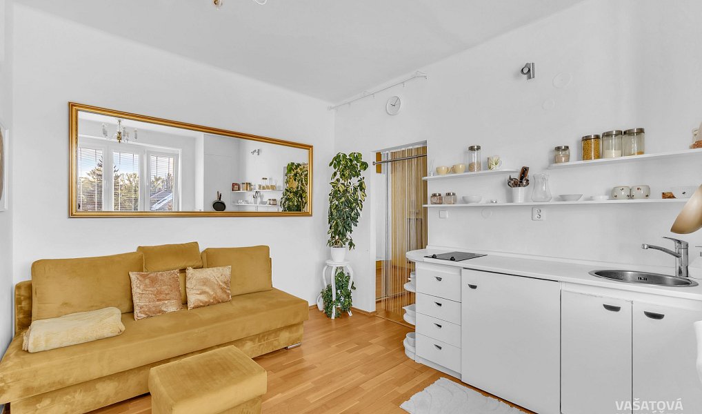 Pronájem bytu 1+kk 28 m², Hradec Králové – náhled fotky 4