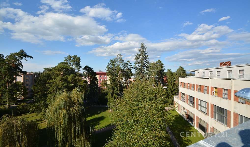 Pronájem pokoje 21 m², Otrokovice – náhled fotky 6