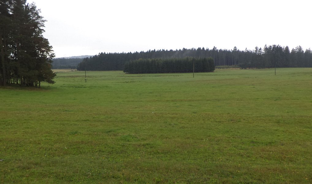 Prodej pozemku 2 593 m², Nová Bystřice – náhled fotky 2