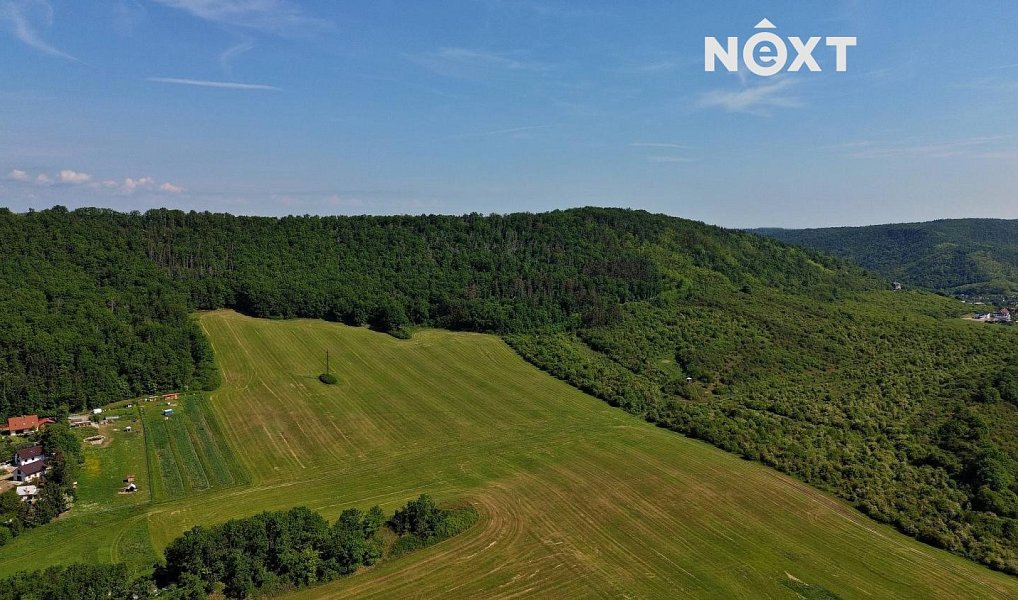 Prodej lesa 3 149 m², Chrustenice – náhled fotky 17
