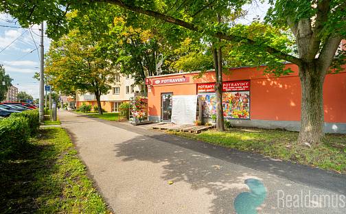 Prodej obchodních prostor 211 m², Lidická tř., České Budějovice - České Budějovice 7