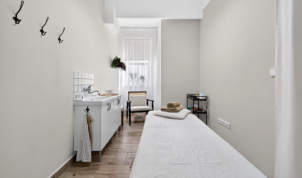Prodej domu 489 m² s pozemkem 332 m², České Budějovice – náhled fotky 10