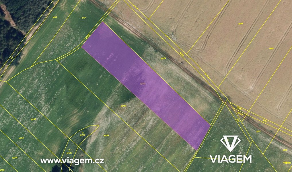 Prodej pole 2 830 m², Lazníčky – náhled fotky 4