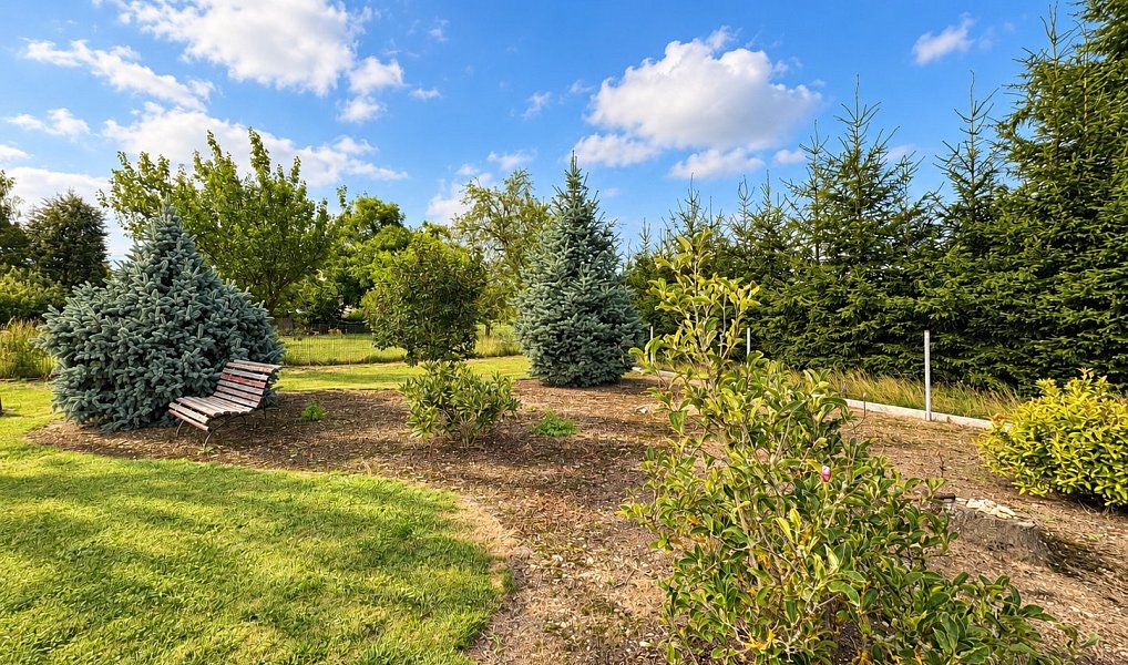 Prodej stavebního pozemku 1 230 m², Toušice – náhled fotky 7