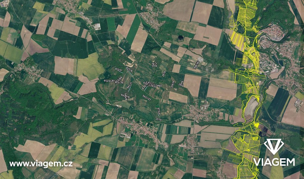 Prodej lesa 2 697 m², Rybníky – náhled fotky 4