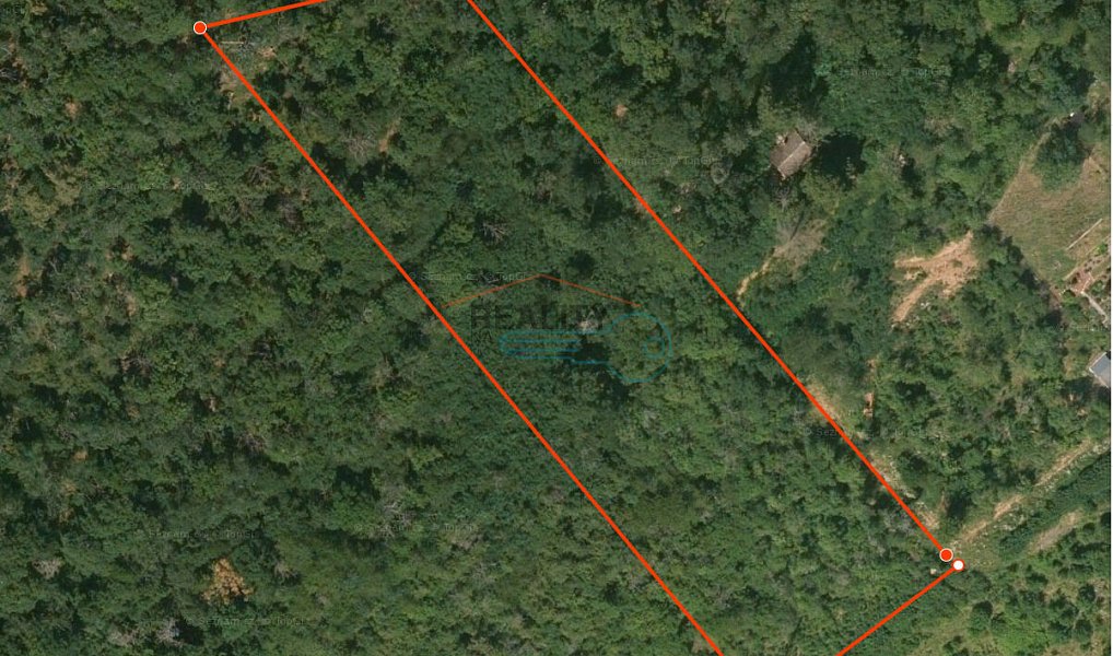 Prodej pozemku 8 255 m², Vráž – náhled fotky 5