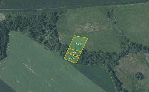 Prodej louky 5 637 m², Vítkov, okres Opava