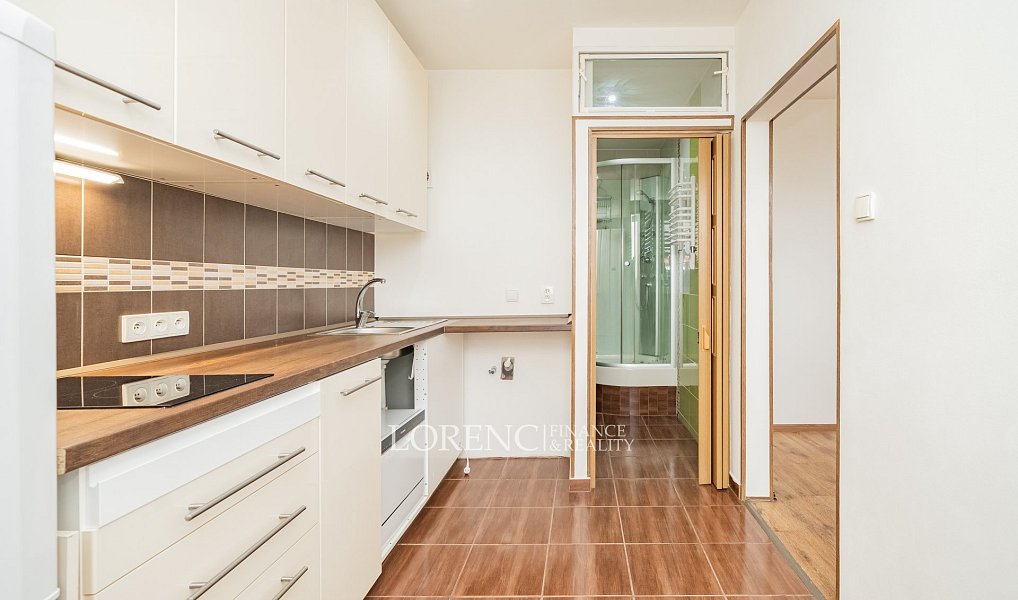 Pronájem bytu 2+1 41 m², Praha – náhled fotky 4