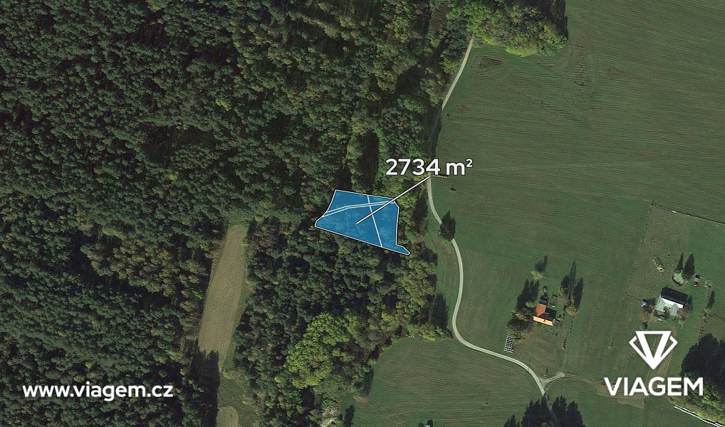 Prodej lesa 1 367 m², Suchdol nad Lužnicí – náhled fotky 2