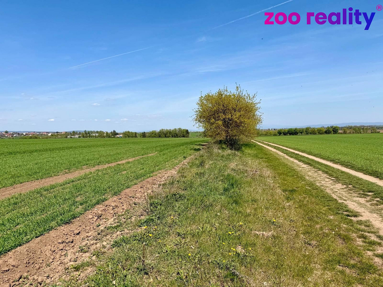 Prodej pole 5 596 m² – fotografie 3