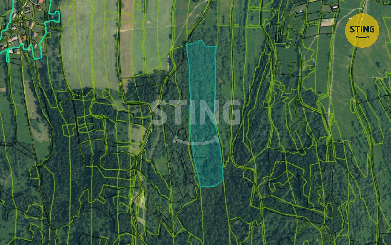 Fotka 3 z 5