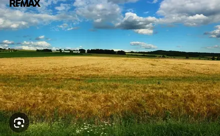 Prodej pole 31 550 m², Nové Syrovice, okres Třebíč