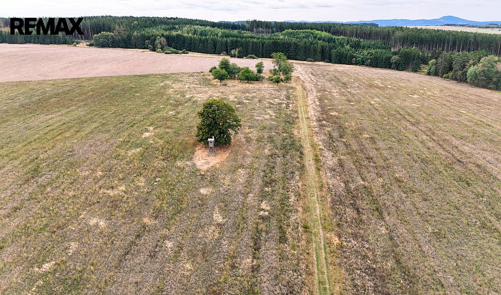 Prodej stavebního pozemku 3 633 m², Ošelín – náhled fotky 3