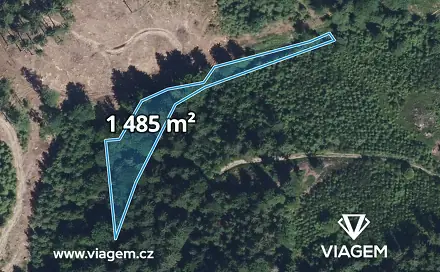 Prodej lesa 932 m², Vysoké nad Jizerou, okres Semily