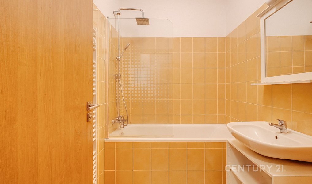 Pronájem bytu 3+kk 63 m², Benešov – náhled fotky 12