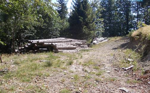 Prodej stavebního pozemku 3 955 m², Pstruží, okres Frýdek-Místek