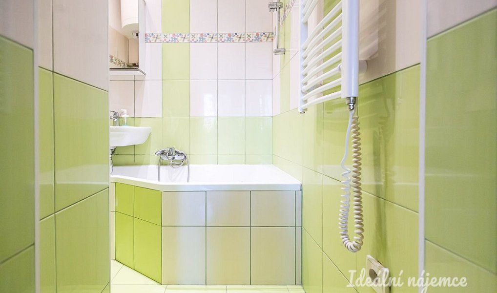 Pronájem bytu 1+kk 20 m², Praha – náhled fotky 11
