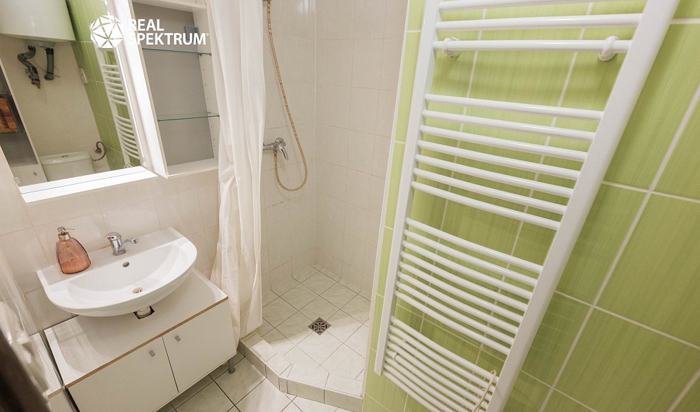 Prodej bytu 2+1 47 m², Brno – náhled fotky 10