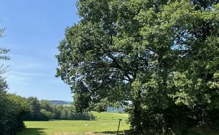 Prodej stavebního pozemku 3 805 m², Kolinec, okres Klatovy
