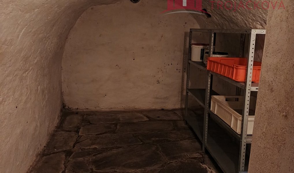 Prodej domu 260 m² s pozemkem 488 m², Rožnov pod Radhoštěm – náhled fotky 30