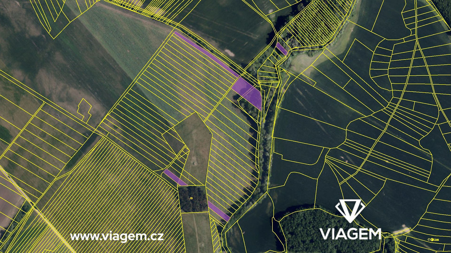 Prodej pole 1 419 m² – fotografie 4