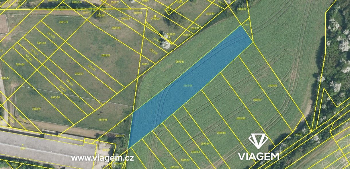 Prodej pole 1 195 m² – fotografie 3