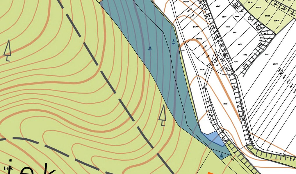 Prodej lesa 1 078 m², Čejkovice – náhled fotky 3