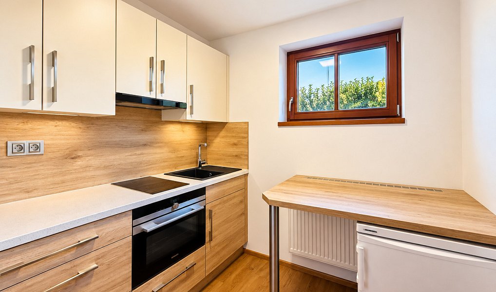 Pronájem bytu 1+1 36 m², Plzeň – náhled fotky 2