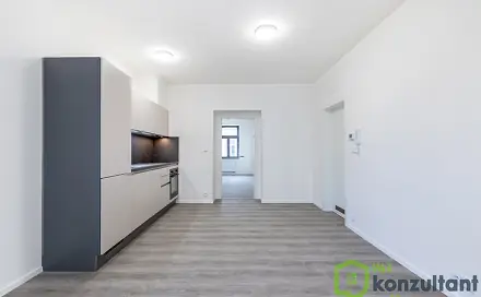 Pronájem bytu 2+kk 36 m², Gorkého, Brno - Veveří