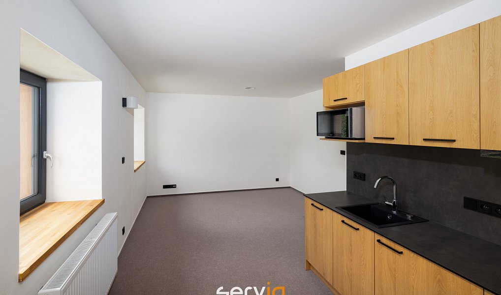 Prodej komerčního objektu (jiného typu) 48 m², Staré Město – náhled fotky 4