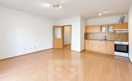 Pronájem bytu 1+kk 42 m²