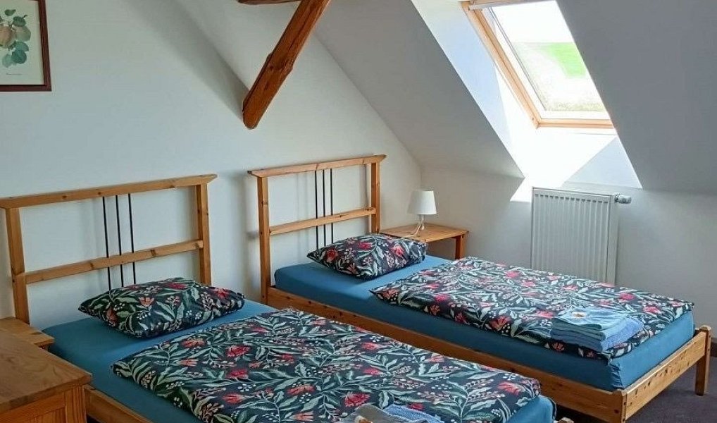 Prodej ubytovacího objektu 700 m², Bobrová – náhled fotky 8