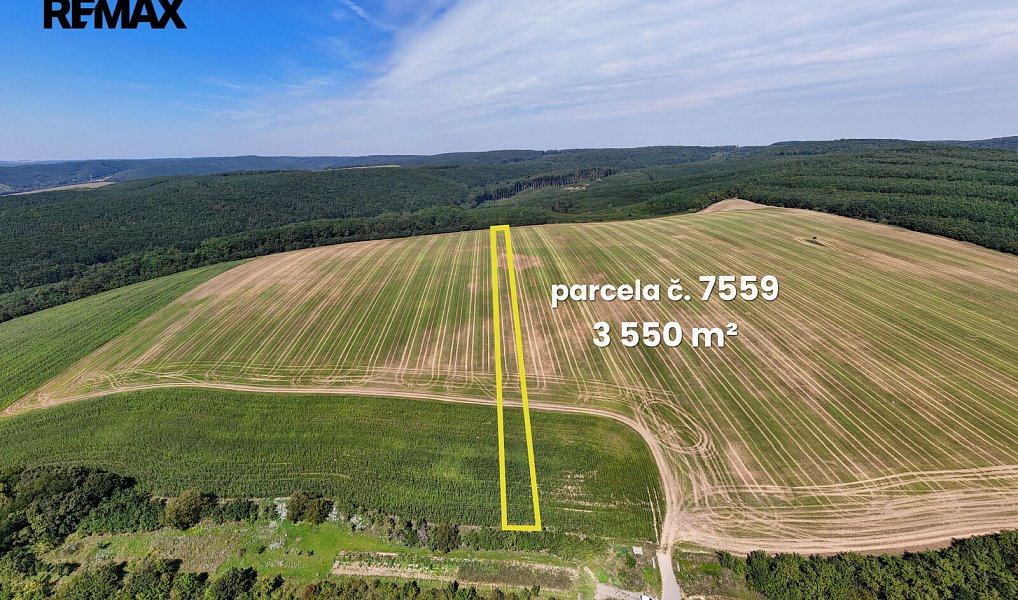Prodej pole 5 542 m², Lovčice – náhled fotky 2