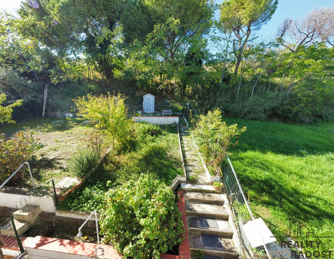 Fotka 20 z 30