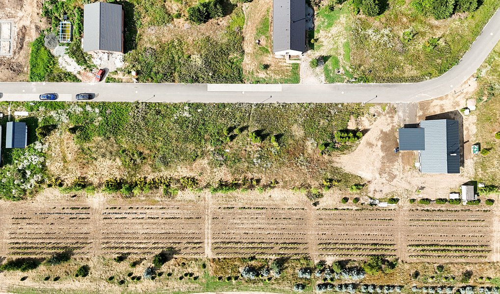 Prodej stavebního pozemku 1 005 m², Boseň – náhled fotky 6