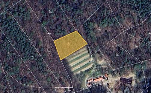 Prodej lesa 899 m², Stříbrnice, okres Uherské Hradiště