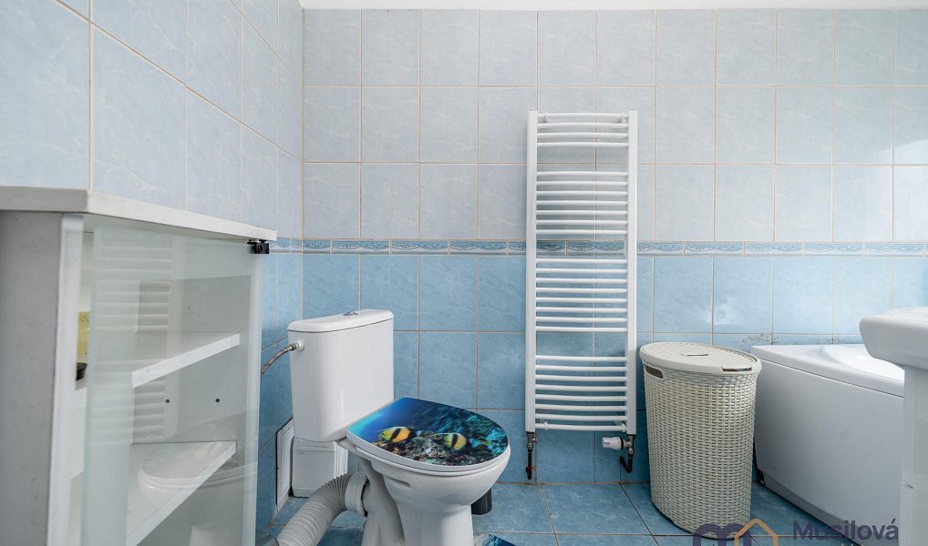 Prodej domu 210 m² s pozemkem 322 m², Novosedlice – náhled fotky 16