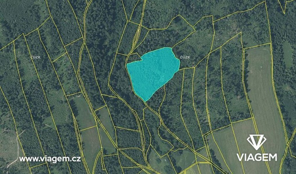 Prodej lesa 19 116 m², Spálov – náhled fotky 3