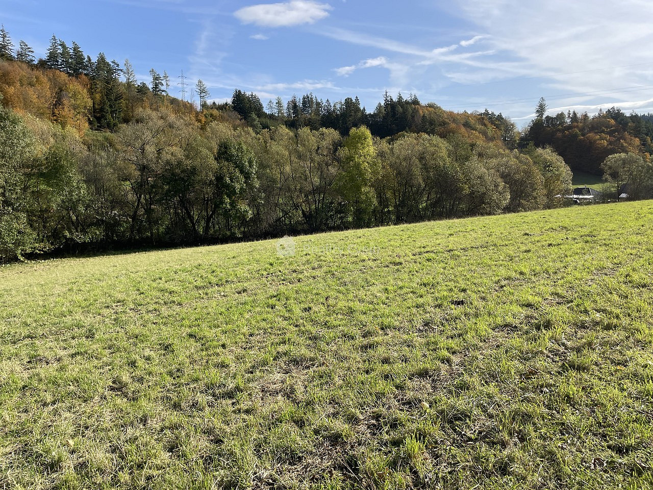 Fotka 4 z 7