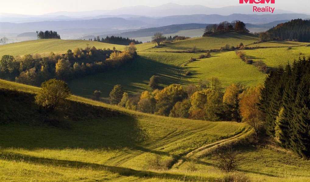 Prodej stavebního pozemku 3 276 m², Božanov – náhled fotky 11