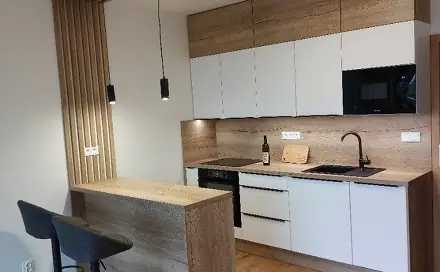 Pronájem bytu 1+kk 41 m², Císařského pluku, Opava - Předměstí