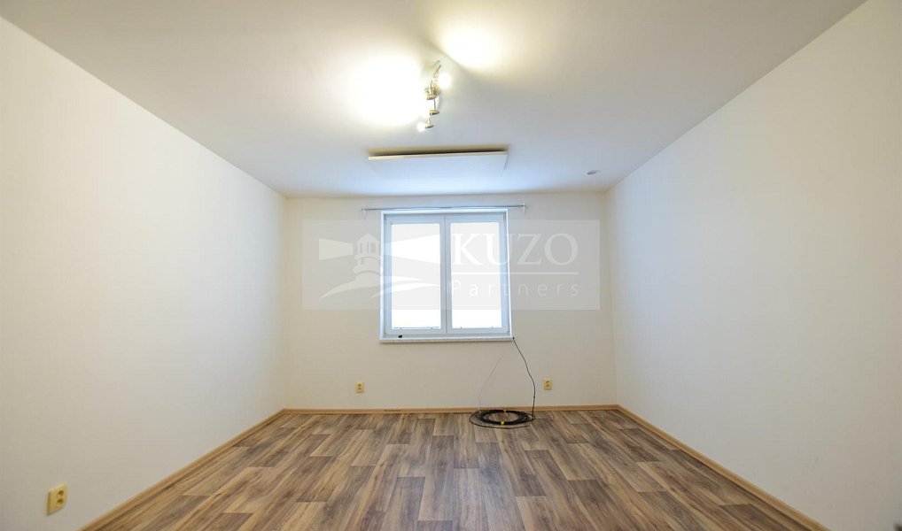 Pronájem bytu 1+1 37 m², Plzeň – náhled fotky 4