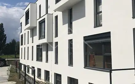 Prodej bytu 2+1 50 m², Kreuzmannova, Plzeň - Skvrňany