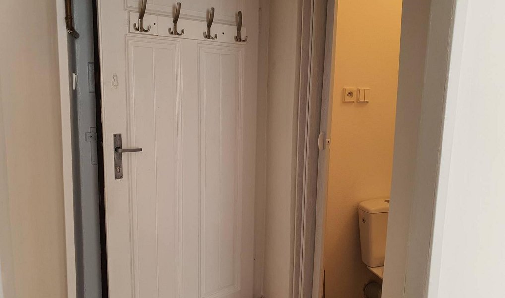 Pronájem bytu 2+kk 40 m², Plzeň – náhled fotky 4