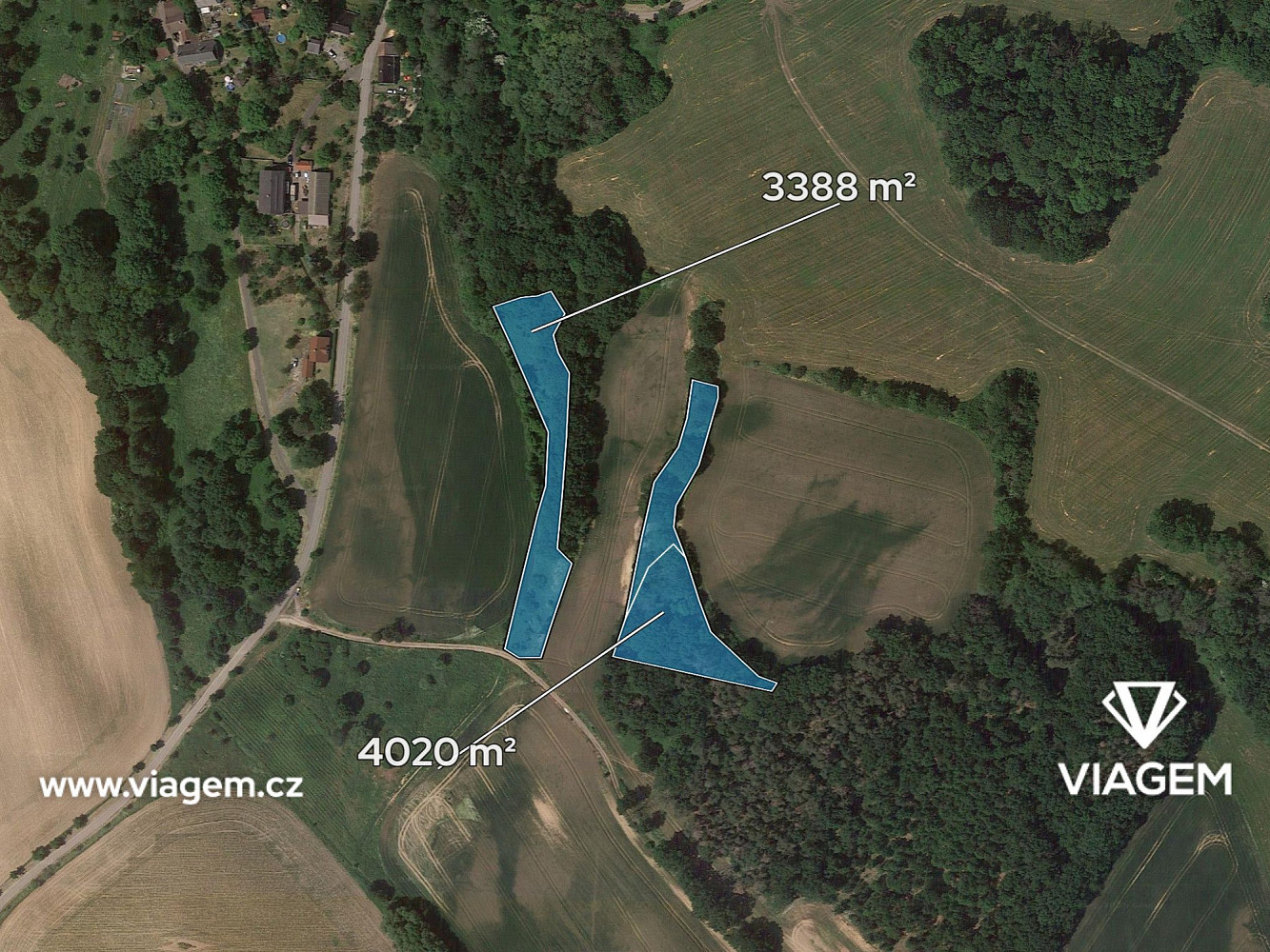 Prodej lesa 714 m² – fotografie 2