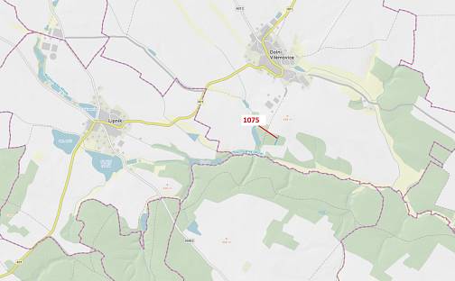 Dražba lesa 1 134 m², Dolní Vilémovice
