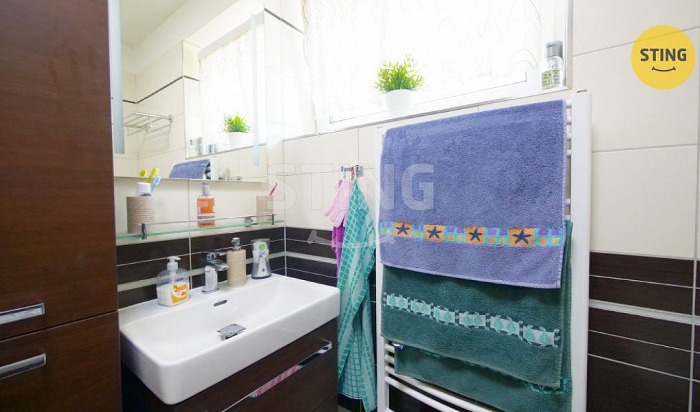 Prodej domu 295 m² s pozemkem 1 089 m², Holasovice – náhled fotky 13