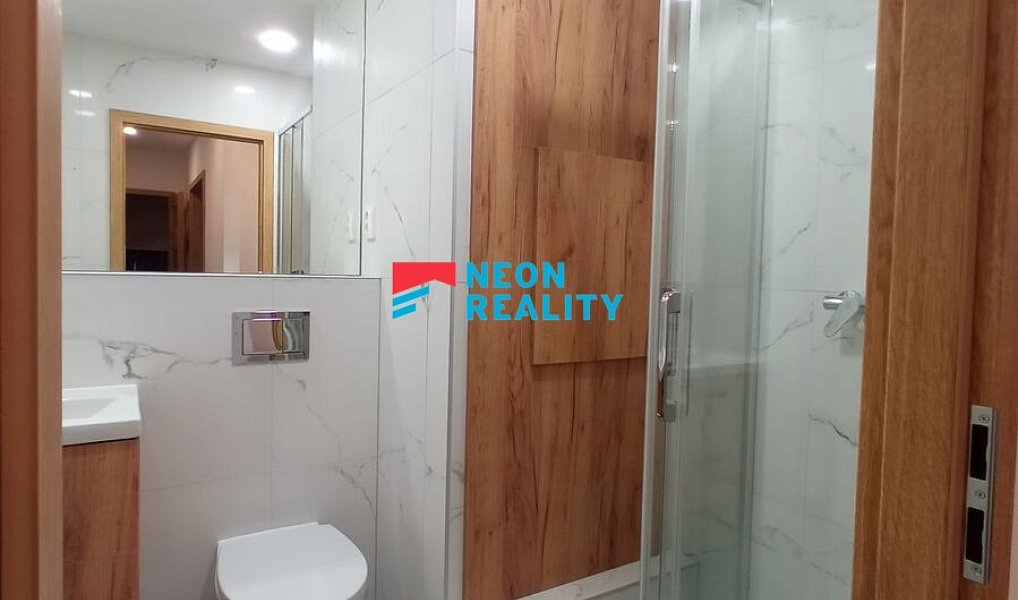 Pronájem bytu 1+1 42 m², Orlová – náhled fotky 6