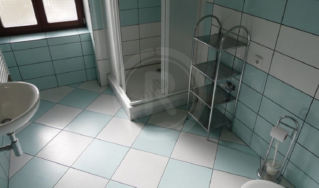 Prodej nájemního domu, činžáku 450 m², Pištín – náhled fotky 10